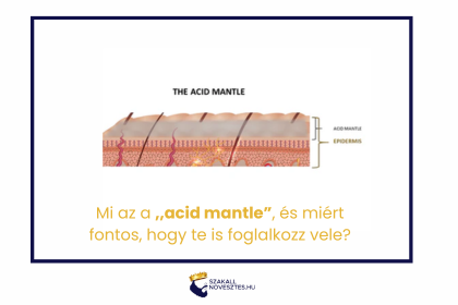 Mi az a ,,acid mantle”, és miért fontos, hogy te is foglalkozz vele?