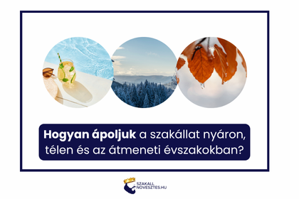 Hogyan ápoljuk a szakállat nyáron, télen és az átmeneti évszakokban?