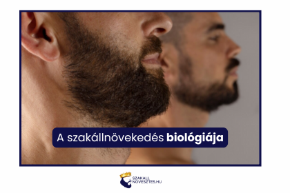 A szakállnövekedés biológiája