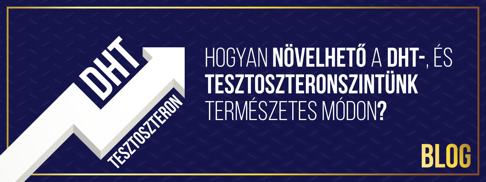 Hogyan növelhetjük a DHT-, és Tesztoszteronszintünket